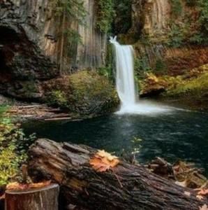 Meet your Posher, Rustin